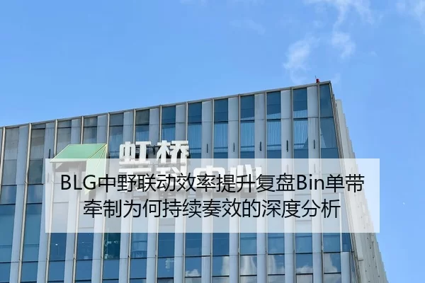 BLG中野联动效率提升复盘Bin单带牵制为何持续奏效的深度分析