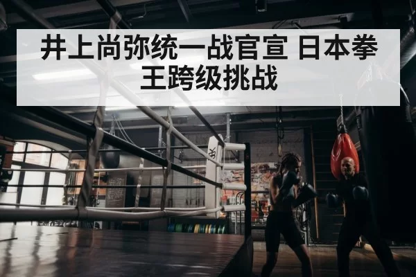 boxer training