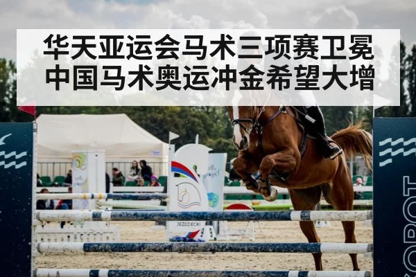 horse jumping arena